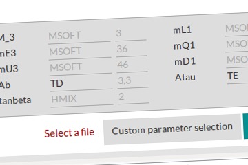 Custom parameter selection